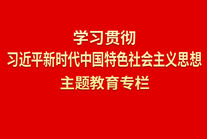 感悟思想和实践伟力 共话推动高质量发展